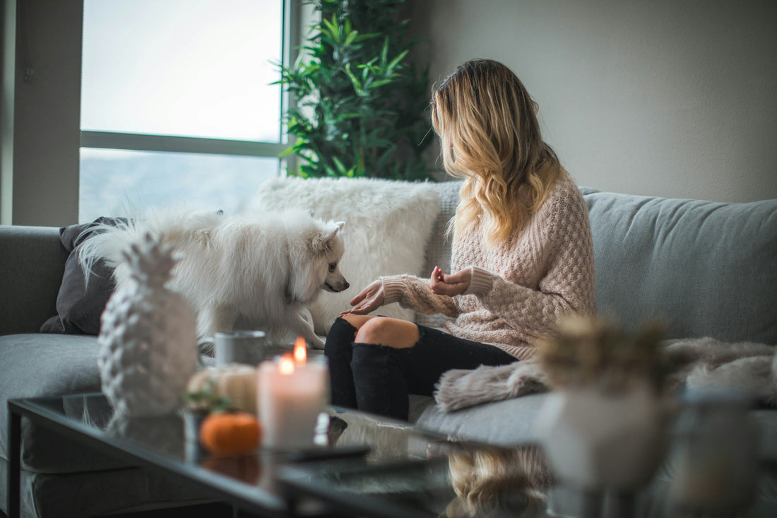 Woman sitting on a couch feeding a dog